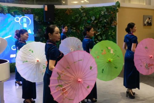 品牌天下战略合作晨曦艺术公司会员主题活动圆满举行